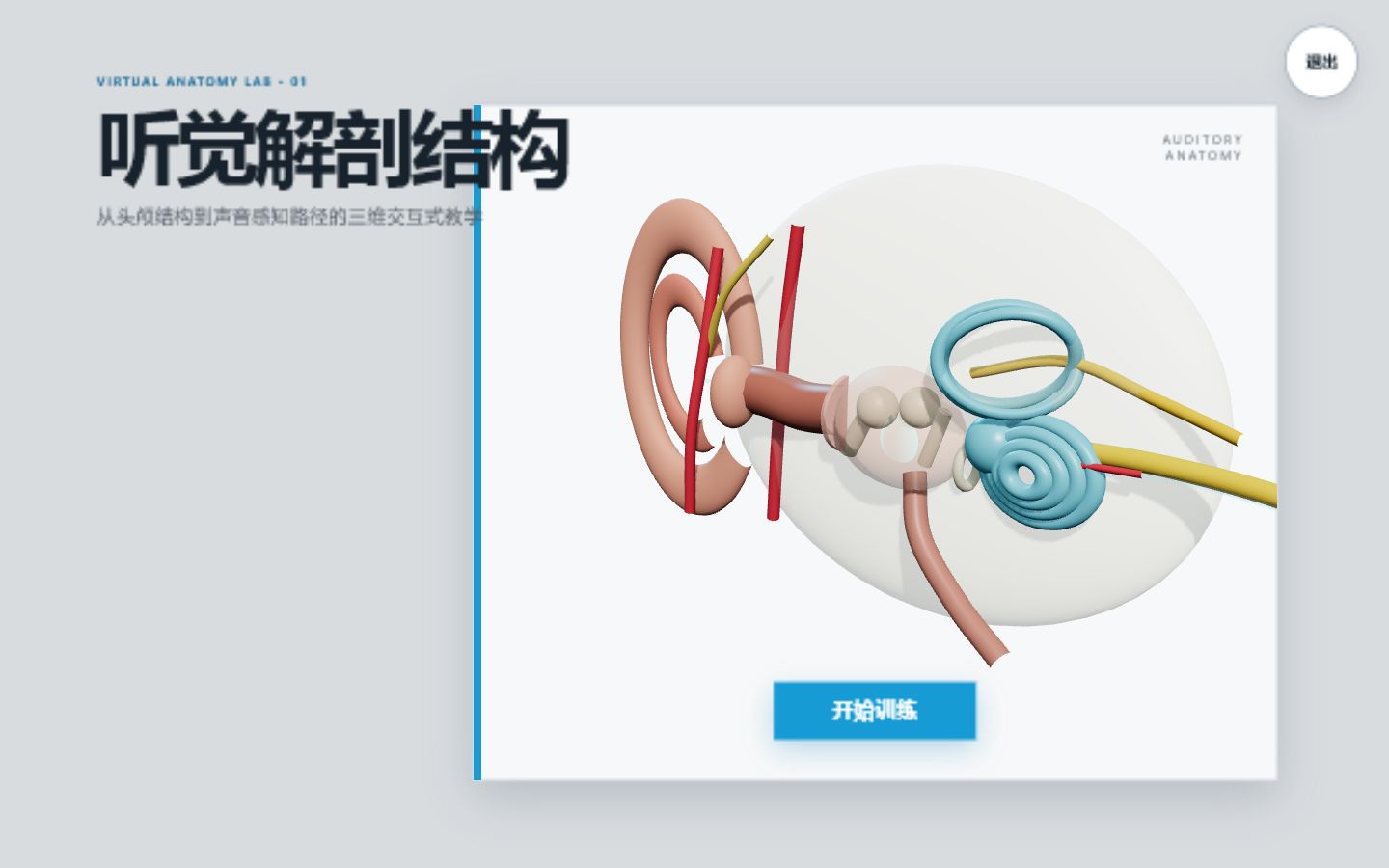 听觉解剖项目封面预览